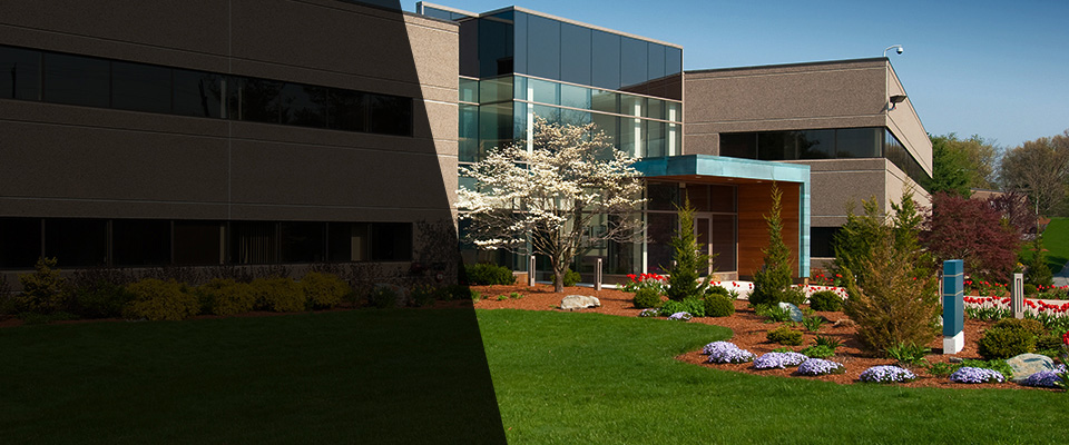 Gwynn Oak Landscapers