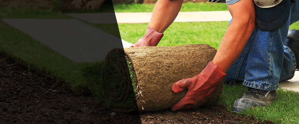 Gwynn Oak Landscapers